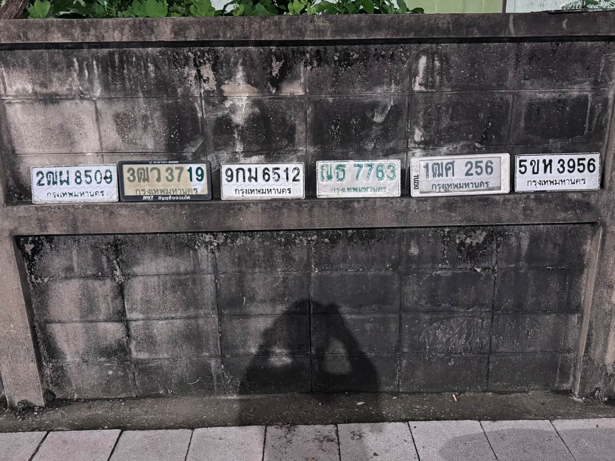 รูปป้ายทะเบียนที่พบ ?ธ 7763 1ฒศ 256 2ฒผ 8509 3ฒว 3719 5ขห 3956