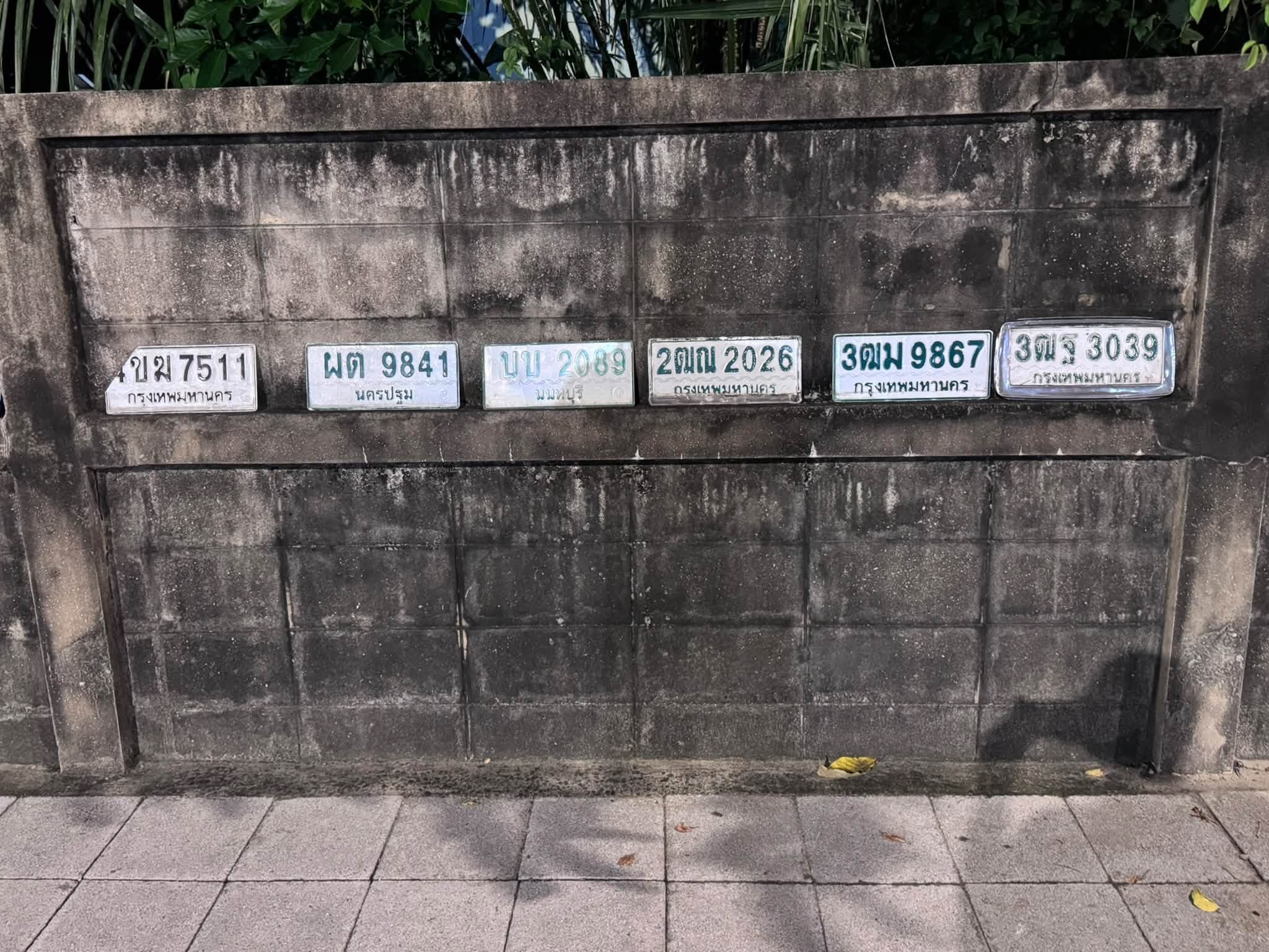 รูปป้ายทะเบียนที่พบ 3ฒม 9867 ผต 9841 2ฌณ 2026 3ณฐ 3039