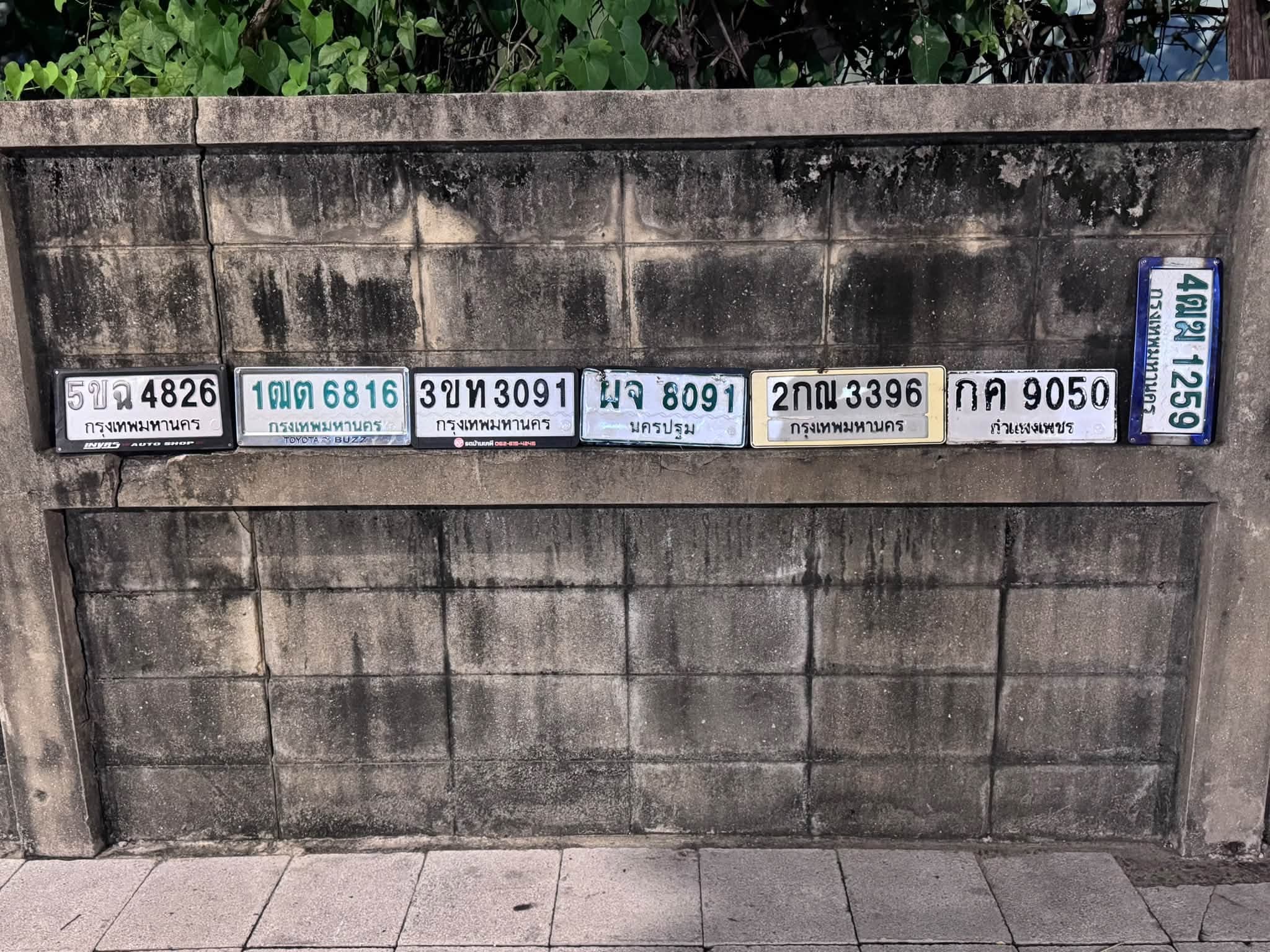 รูปป้ายทะเบียนที่พบ 1ฒต 6816 2กณ 3396 3ขท 3091 5ขฉ 4826 กค 9050 ผจ 8091