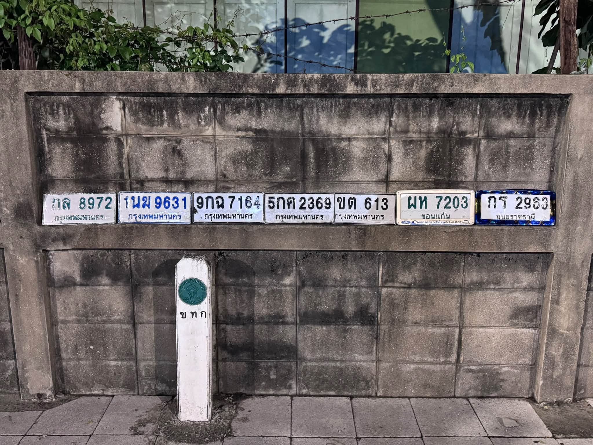 รูปป้ายทะเบียนที่พบ 1นฆ 9631 5กค 2369 9กฉ 7164 กร 2963 ขต 613 ผห 7203 กล 8972