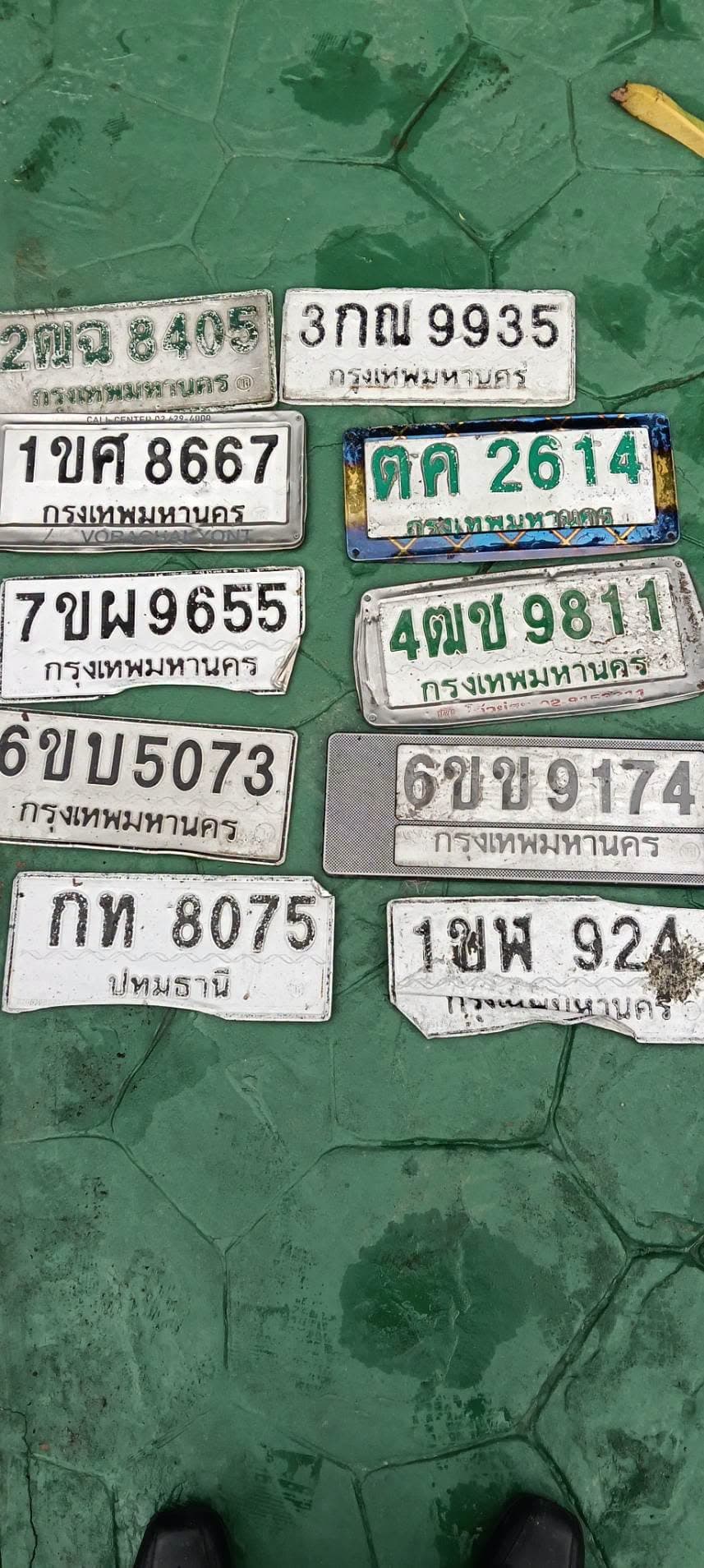 รูปป้ายทะเบียนที่พบ 4ฒช 9811 6ขข 9174 6ขบ 5073 7ขผ 9655 ดค 2614 กท 8075 1บศ 8667