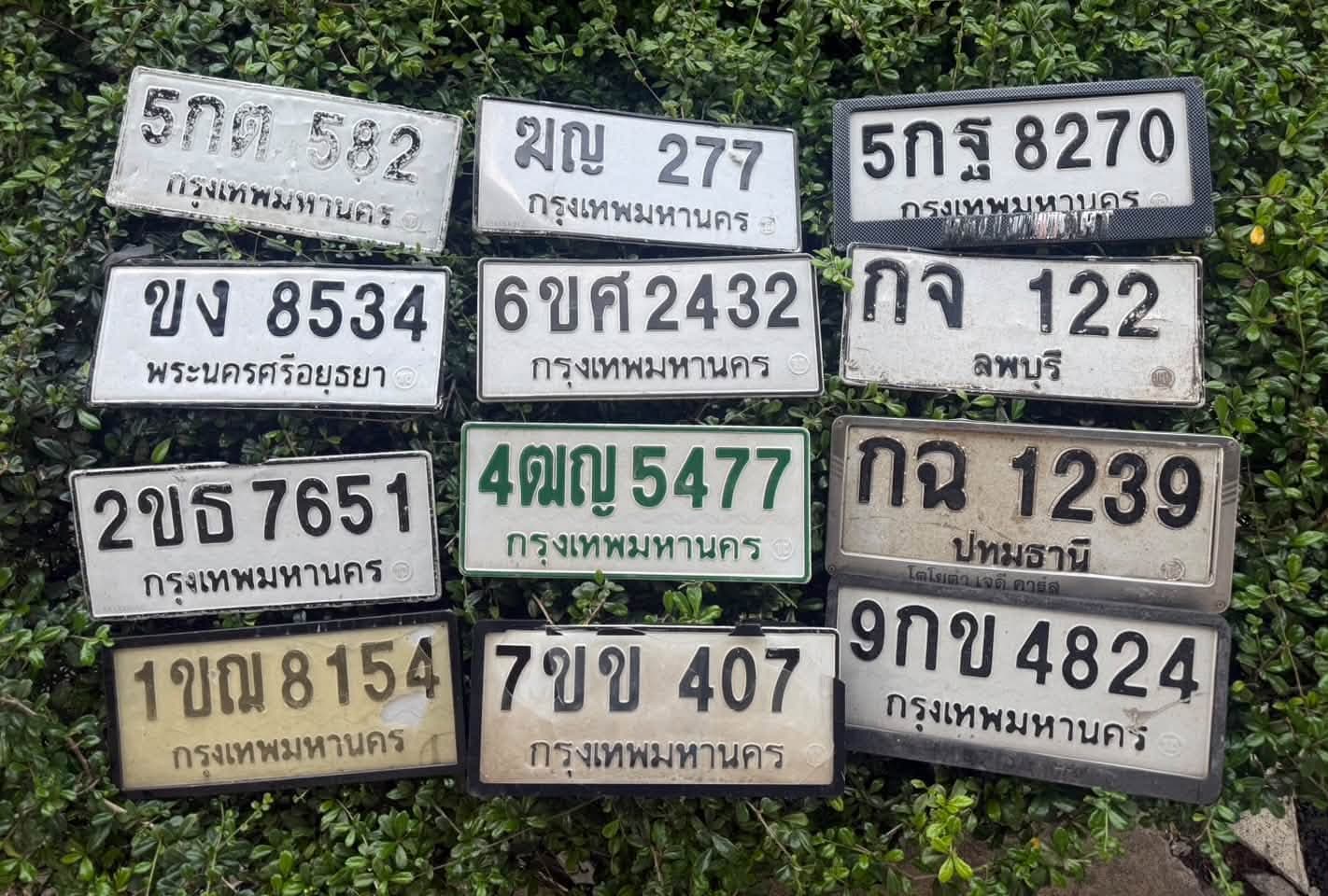 รูปป้ายทะเบียนที่พบ 1ขณ 8154 4ฒญ 5477 5กต 582 6ขศ 2432 7ขข 407 9กข 4824 กจ 122 กฉ 1239 ขง 8534 ฆญ 277