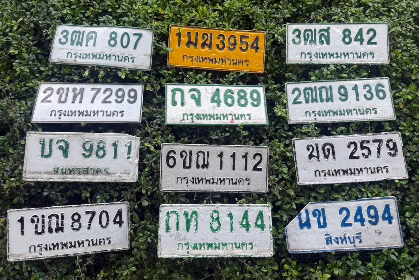 รูปป้ายทะเบียนที่พบ ?ท 8144 1มฆ 3954 2ขห 7299 3ฒค 807 2ณฌ 9136