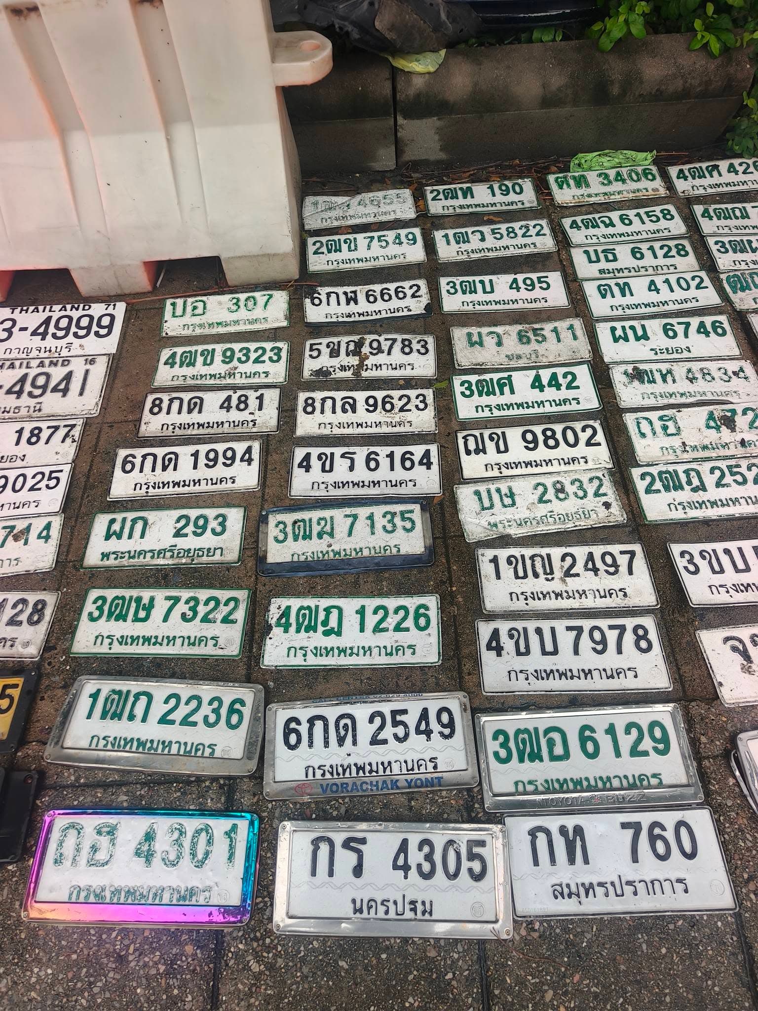 รูปป้ายทะเบียนที่พบ ?ฒห 4834 1ขญ 2497 1ฒ? 4655 1ฒถ 2236 1ฒว 5822 2ฒข 7549 2ฒท 190 3ฒบ 495 3ฒม 7135 3ฒศ 442 3ฒษ 7322 3ฒอ 6129 4ขบ 7978 4ขร 6164 4ฒข 9323 4ฒฉ 6158 4ฒฎ 1226 5ขณ 9783 6กด 1994 6กด 2549 6กพ 6662 8กด 481 8กล 9623 กท 760 กร 4305 ญข 9802 ตท 4102 บธ 6128 บษ 2832 บอ 307 ผก 293 ผน 6746 ผว 6511