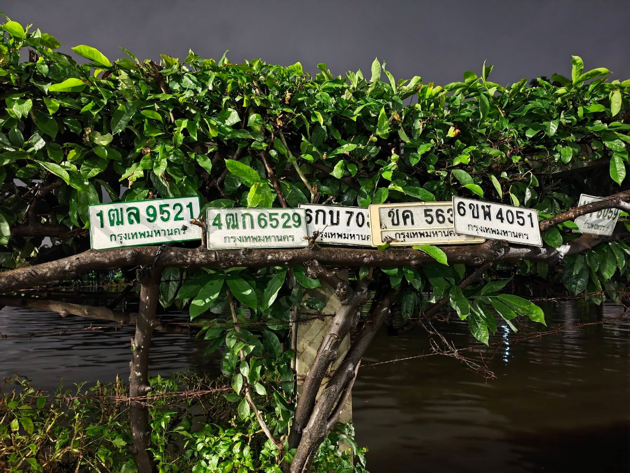 รูปป้ายทะเบียนที่พบ 1ฒล 9521 4ฒก 6529 6ขพ 4051