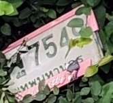 รูปป้าย ก 554 ที่ตัดจากรูปของผู้แจ้ง