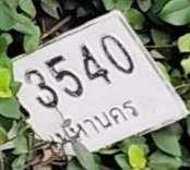 รูปป้าย ขพ 3827 ที่ตัดจากรูปของผู้แจ้ง